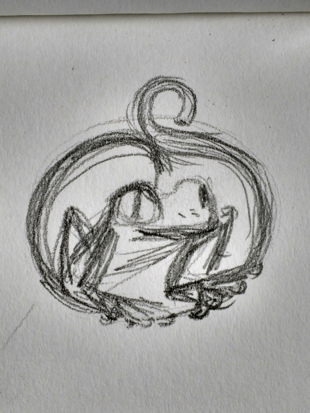 wp-1439996027391 image