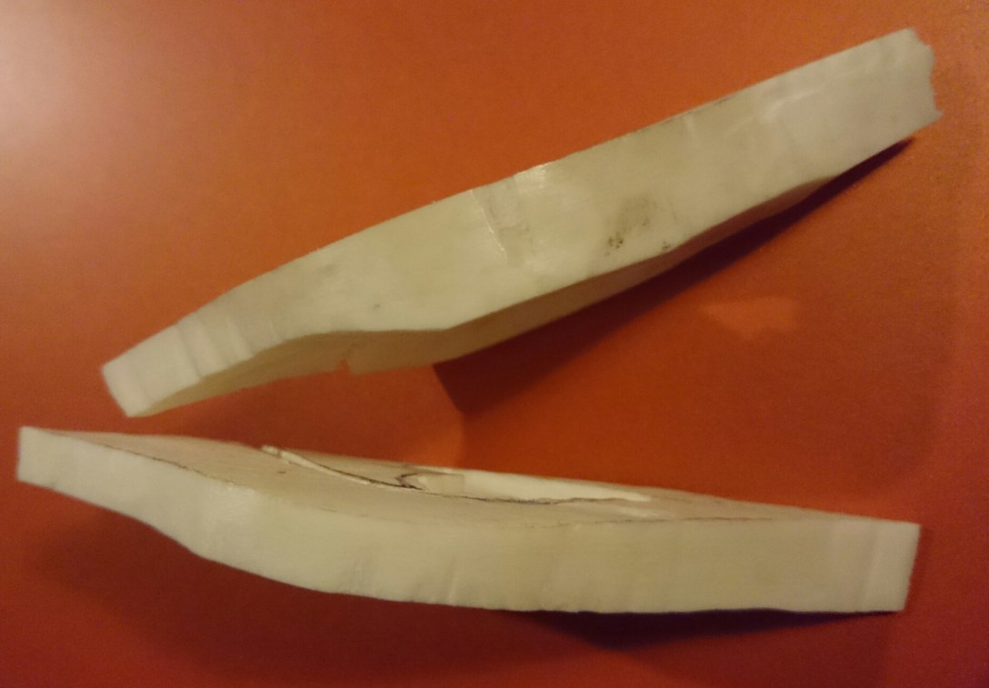 wp-1461493194848 image